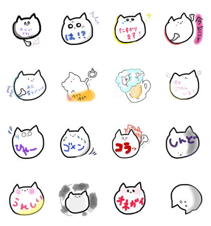 Daily conversation cat