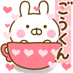 Rabbit Usahina love goukun