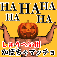 Shuuhei Pumpkin macho