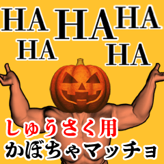 Shuusaku Pumpkin macho