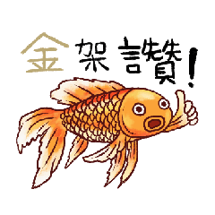 Cute little goldfish Yue's daily life