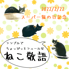 Cat photo Sticker2 -KURO,MIYA,KOO-