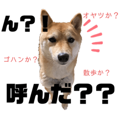 yun_20220207123522
