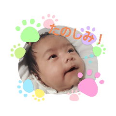 miki_20220206222529