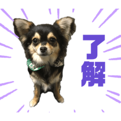 saya_20220206230007