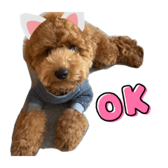 Yuina_20220207125908