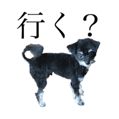 yamada_20220207145415