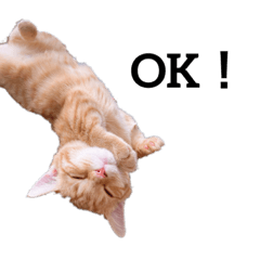 yamada_20220207153544