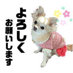 risa_20220207160301
