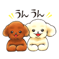 pu-taro_20220206235212