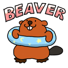 my little beaver