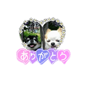 friendStamp20
