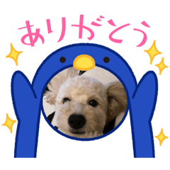 ACE_20220207202438