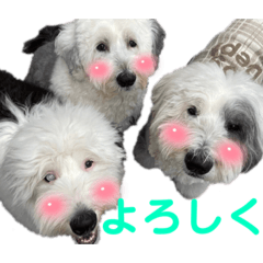 Seira_20220207204456