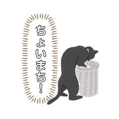 matsu_20220207211207