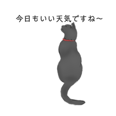 matsu_20220207214446