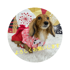 yuka_20220207221743