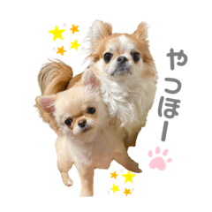 Mizuki_20220208014104