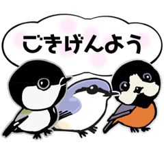 野鳥mixスタンプ