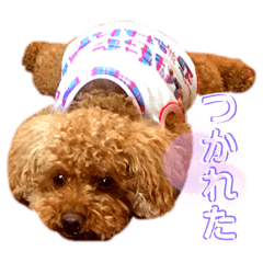 atsumi_20220207152208