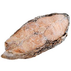 Food Series : Some Frozen Fish Steak