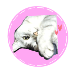 Rukitty_20220207170718