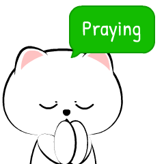 white cat 5 : Animated