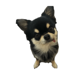 Yukari_20220207185357