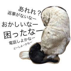 MAYvsBUBU