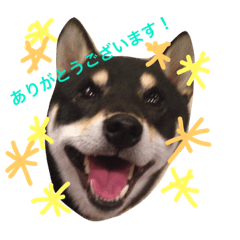 Japanese dog sticker2