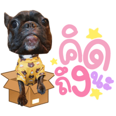 Iamnook_20220207033232