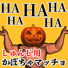 Shunji Pumpkin macho