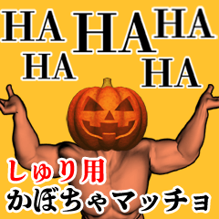 Shuri Pumpkin macho