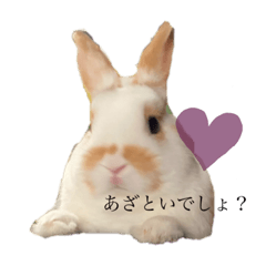 shiho_20220207204804