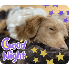 nanami_20220207232140