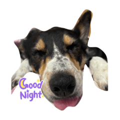 shiho_20220207220023