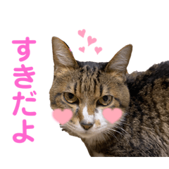 Rina_20220207224252