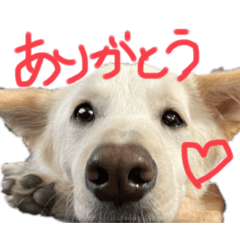 yun_20220207225319