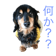 mydog sticker