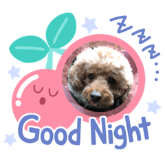 Emily_20220208152535