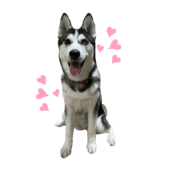 Bella_20220208153336