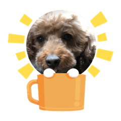 Emily_20220208154056