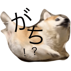 sakurako_20220208223516
