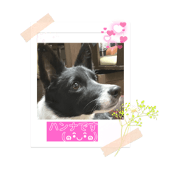 hannah_20220208224803