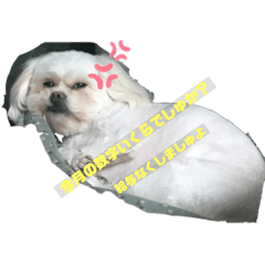 tomomi_20220209090526