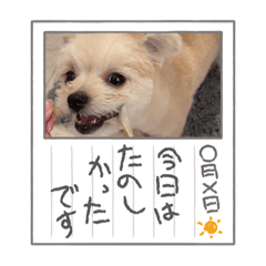 risa_20220209044958