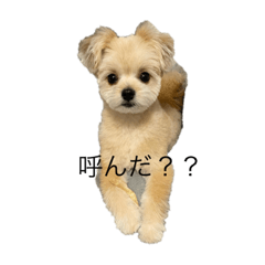 risa_20220209045201