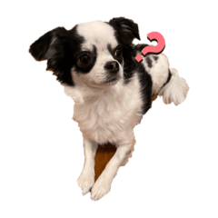 MIZUKI_20220208153232