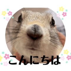 Yukari_20220208194435