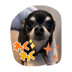 Jack_20220208231808